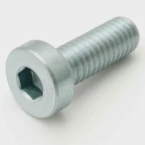Alacsonyfejű